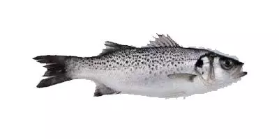 OIP.NfbFVCFgM6rpWKrJJFCp8gAAAA